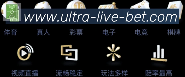 多媒体互动体验